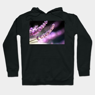 Lavender close-up Hoodie